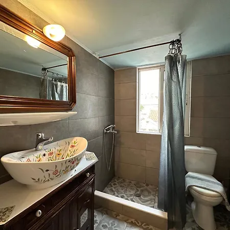 Apartment Omiros *
